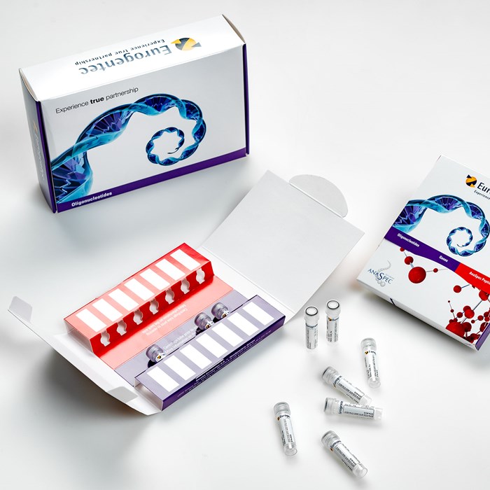 Picture representing oligonucleotides packaging