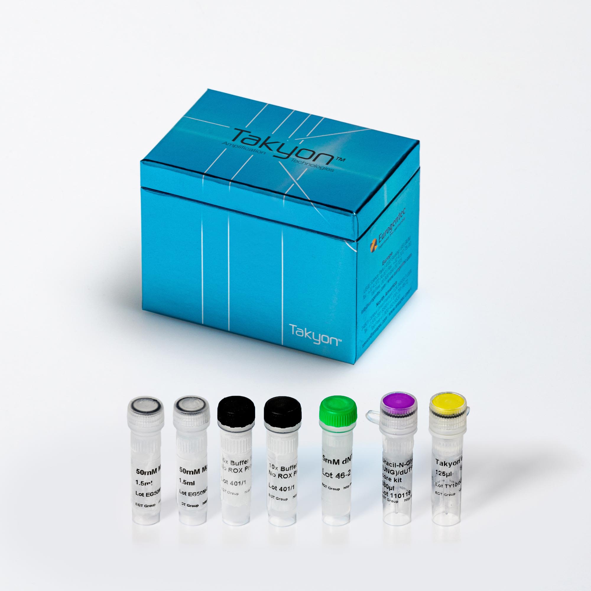 Takyon® No ROX Probe Core Kit dTTP