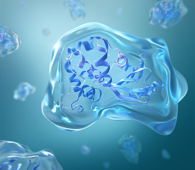 Custom Proteins Eurogentec