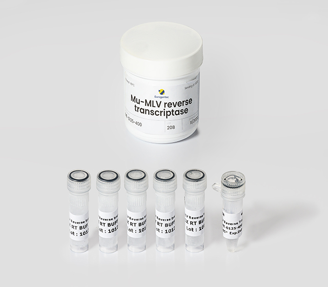 Endpoint PCR PCR and qPCR Eurogentec