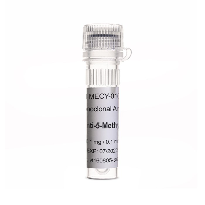 Tube of Anti-5-Methylcytosine (33D3)