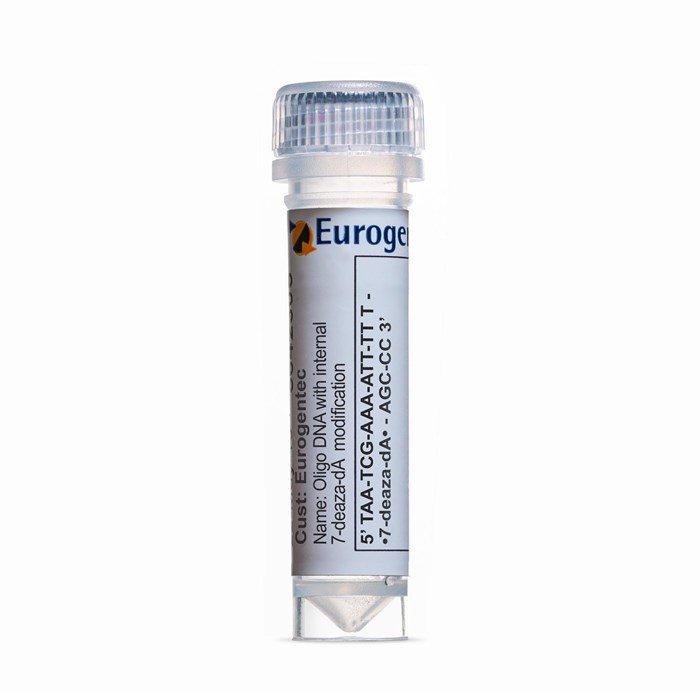 Example of a tube containing an Oligonucleotides with 7-deaza-dA  modification