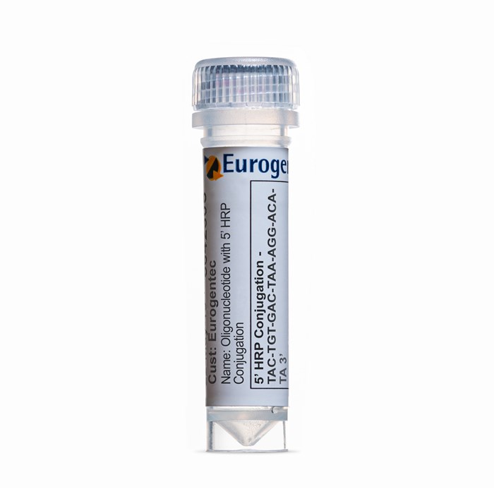 Example of a tube of an Oligonucleotide with 5' HRP Conjugation