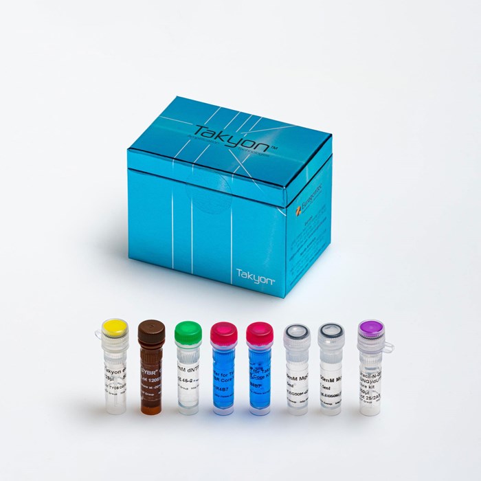 Image of a kit Takyon Rox SYBR Core Kit blue dTTP