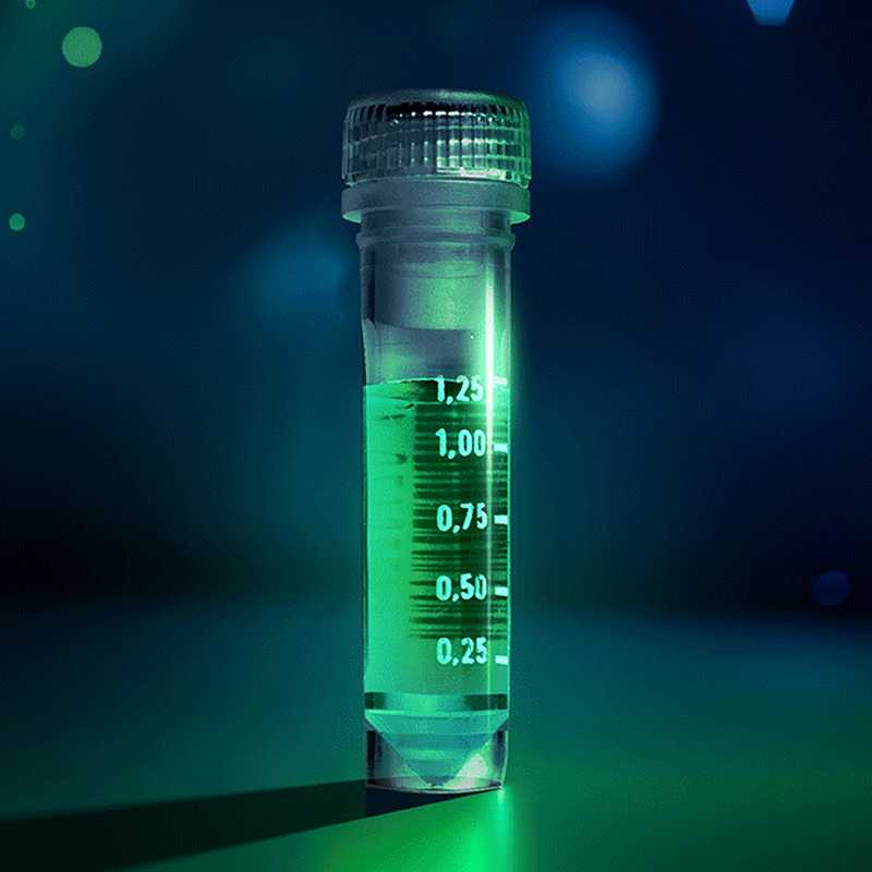 【CNP】CNP 80% リキッド LIVELINE-MAC1- 1ml Amazon | 【体感Lv. 7】CNPリキッド (CBP リキッド) 100% 0.5ml