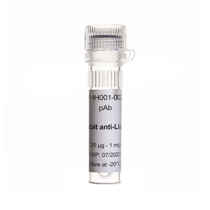 Tube of Rabbit anti-Llama VHH, pAb, 25 µg