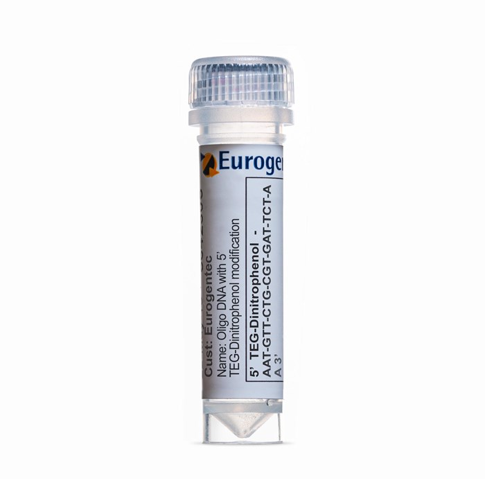 Example of a tube of an Oligonucleotide with 5' TEG-Dinitrophenol modification