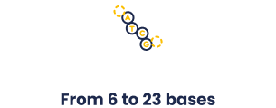 column-bases
