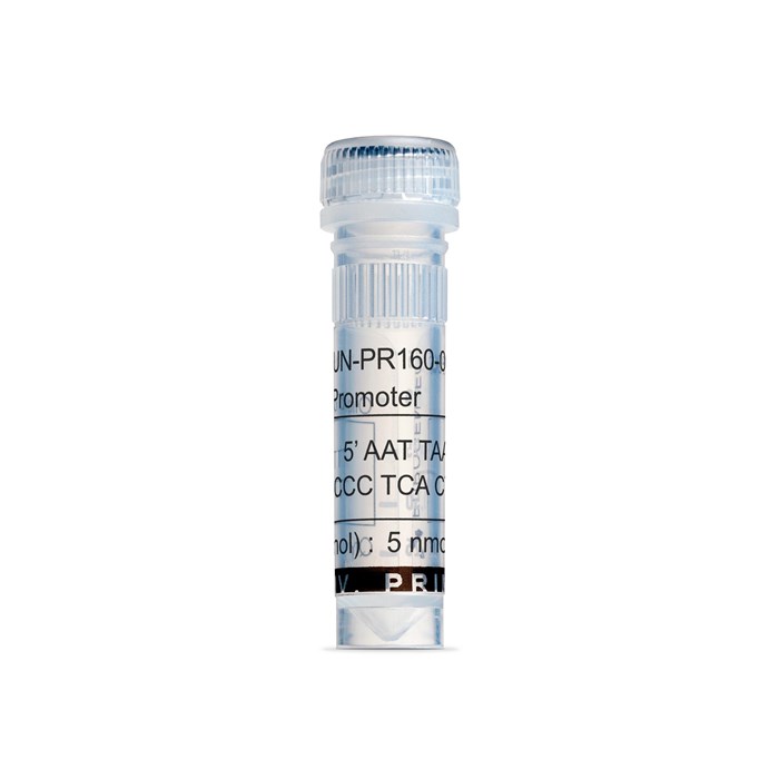 Tube of T3 Promoter Primer