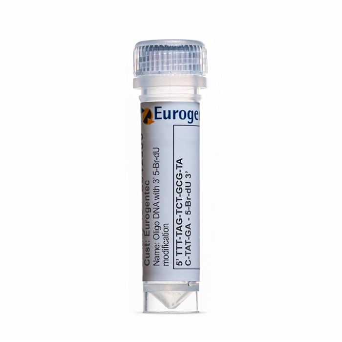 Example of a tube containing an Oligonucleotides with 3' (5-Br-dU)  modification