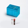 Image of a kit Takyon Low Rox SYBR Mmx blue dTTP 150RXN