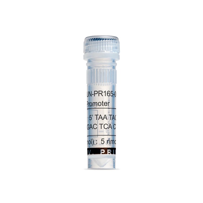 Tube of T7 Promoter Primer