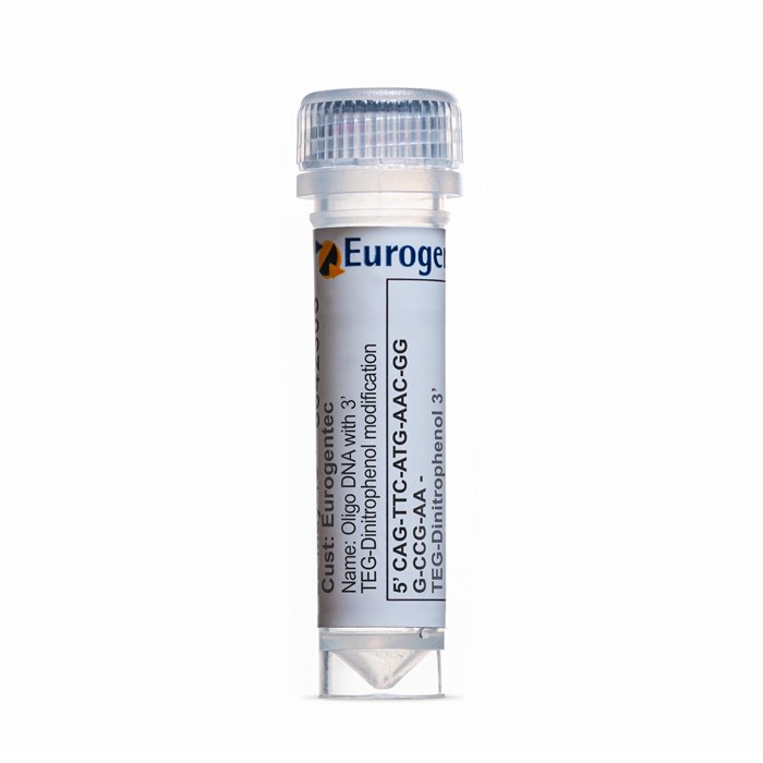 Example of a tube of an Oligonucleotide with 3' TEG-Dinitrophenol modification