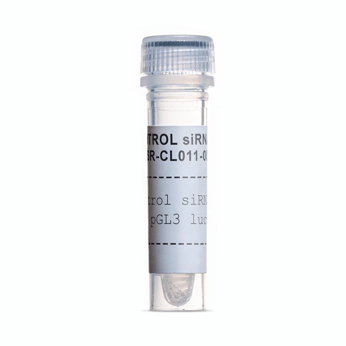 Tube of Control siRNA duplex pGL3 lucifer (firefly)