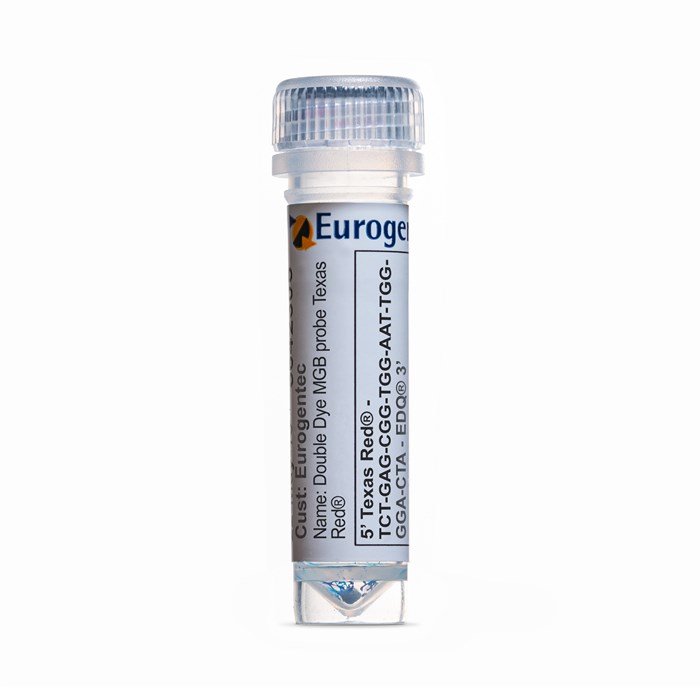 IMG-EN-PB-MGBETR-006-01.jpg