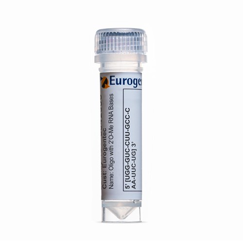 Example of a tube of Oligonucleotide with 2'O-Me RNA Base