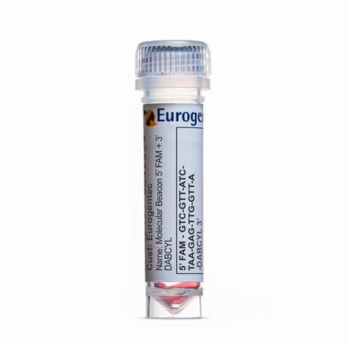 Example of a tube containing a Molecular Beacon 5' FAM plus 3' DABCYL