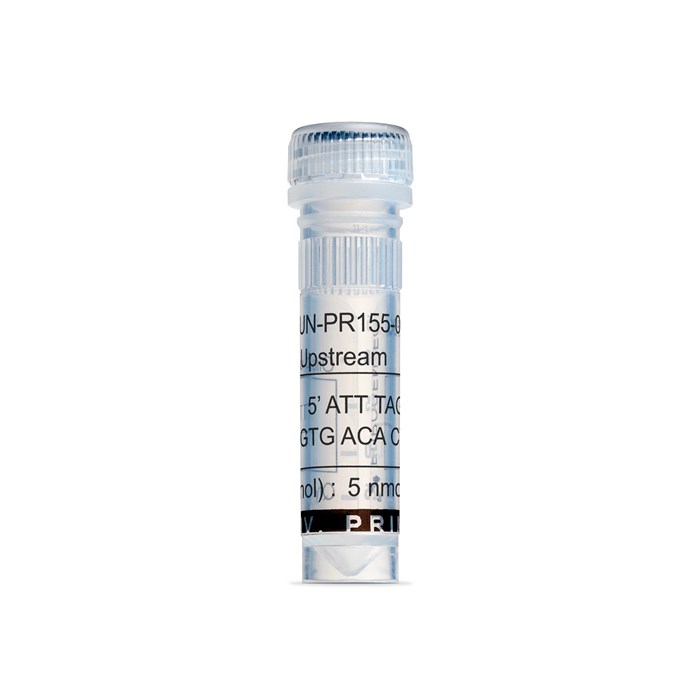 Tube of SP6 Upstream Primer