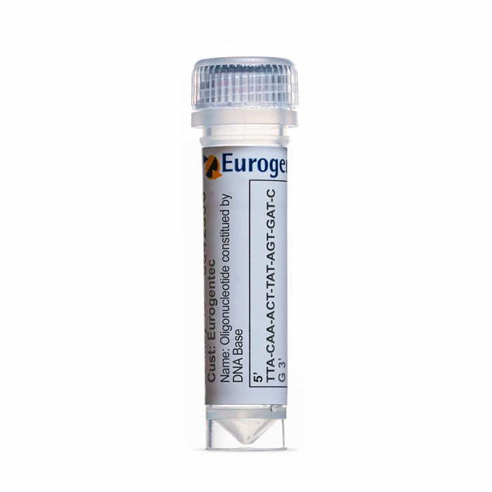 Example of a tube of Oligonucleotide constitued by DNA Base