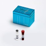 IMG-EN-UF-UPMT-C0201-01.jpg