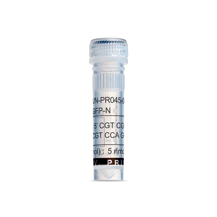 Tube of EGFP-N Primer