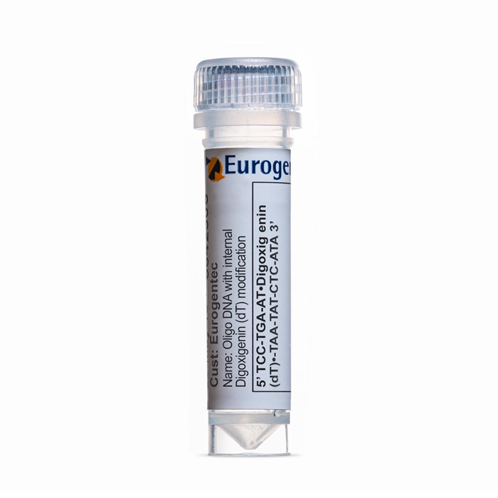 Example of a tube of an Oligonucleotide with Digoxigenin (dT) modification