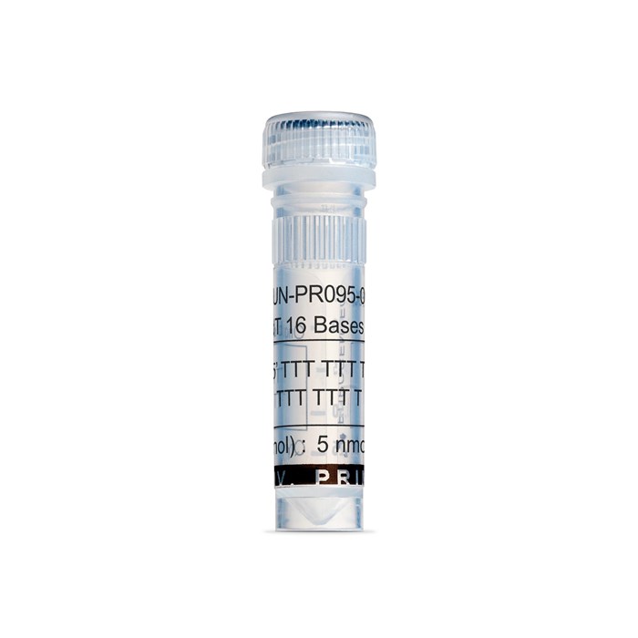 Tube of Oligo dT 16 Bases Primer