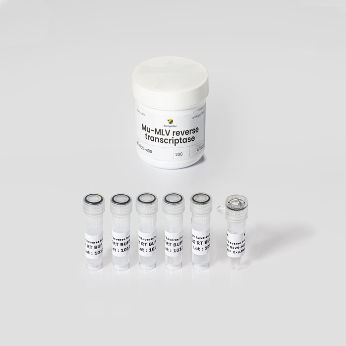 Picture showing a Mu-mlV Reverse Transcriptase kit