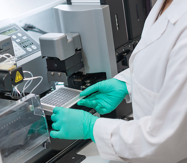 ELISA testing – Antibodies additional services | Eurogentec