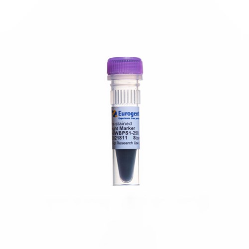 Tube of iD Broad Pre-stained Protein Weight Marker