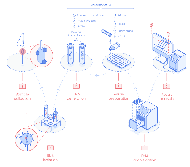 Covid-19 molecular diagnostic tests | Eurogentec Covid-19 molecular diagnostic tests | Eurogentec